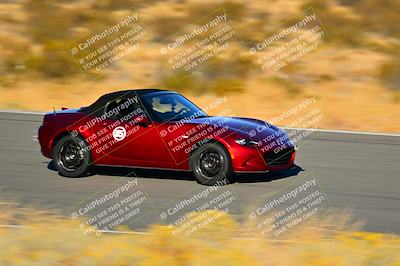 media/Nov-16-2024-Extreme Speed (Sat) [[6587d07cc4]]/Purple Group/Session 3 (The Bowl)/